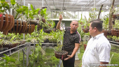 Mô hình trồng hoa Phong Lan hướng đi mới trong phát triển kinh tế nông nghiệp- nông thôn