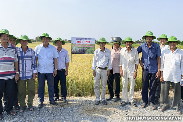 Huyện Gò Công Tây tổng kết mô hình sản xuất lúa chất lượng cao vụ Đông Xuân