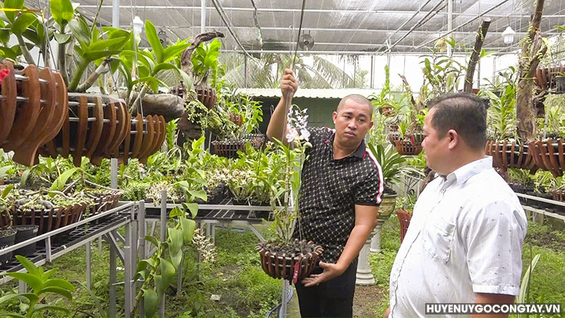 Anh Hoàng Nhân đang giới thiệu về một giống lan mới lai tạo  của vườn lan Hoàng Nhân có giá trị cho cán bộ Hội Nông dân huyện.